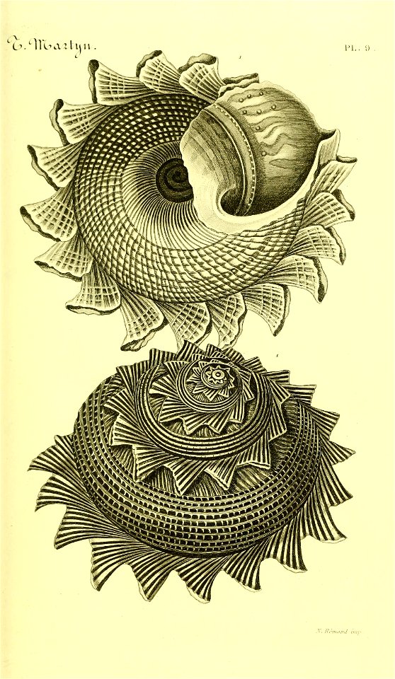 n56_w1150