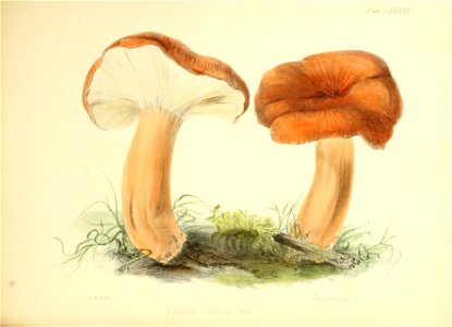 n375_w1150
