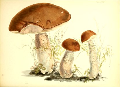 n253_w1150