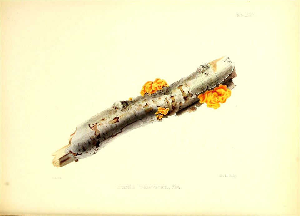 n129_w1150