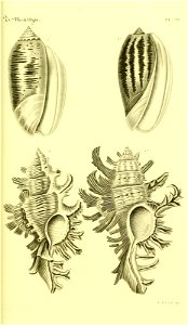 n114_w1150