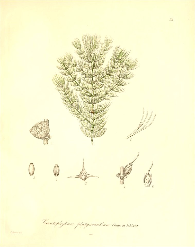 n158_w1150