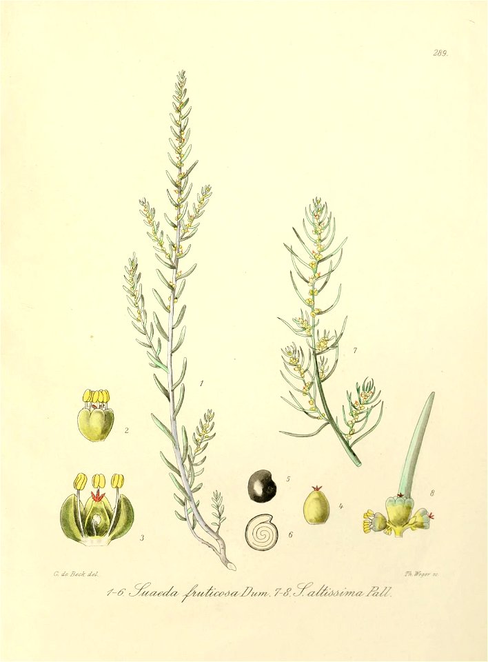 n528_w1150