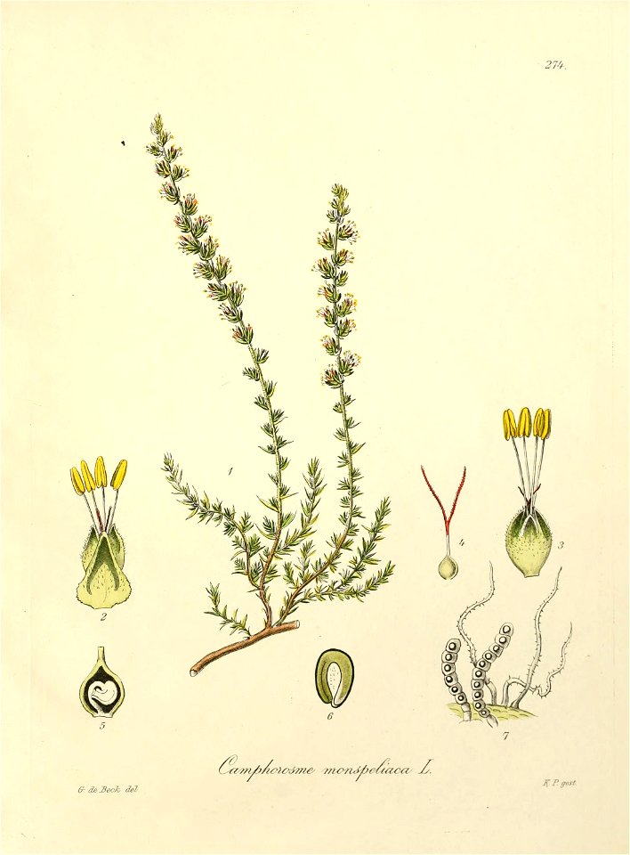 n498_w1150