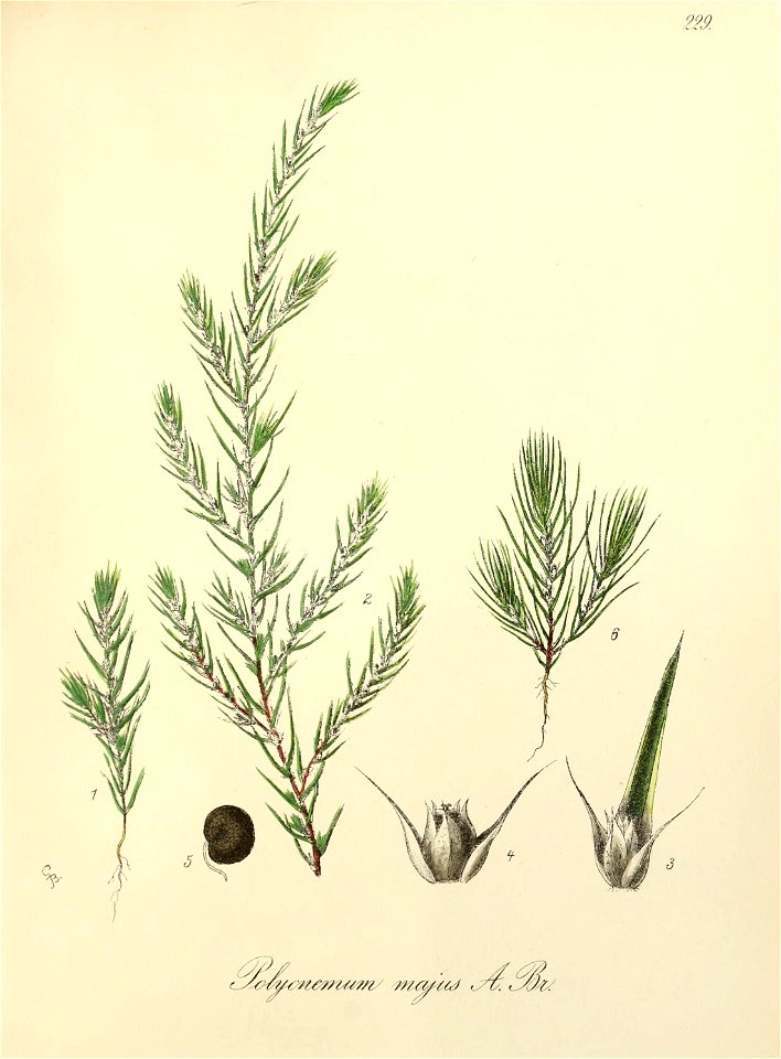 n408_w1150