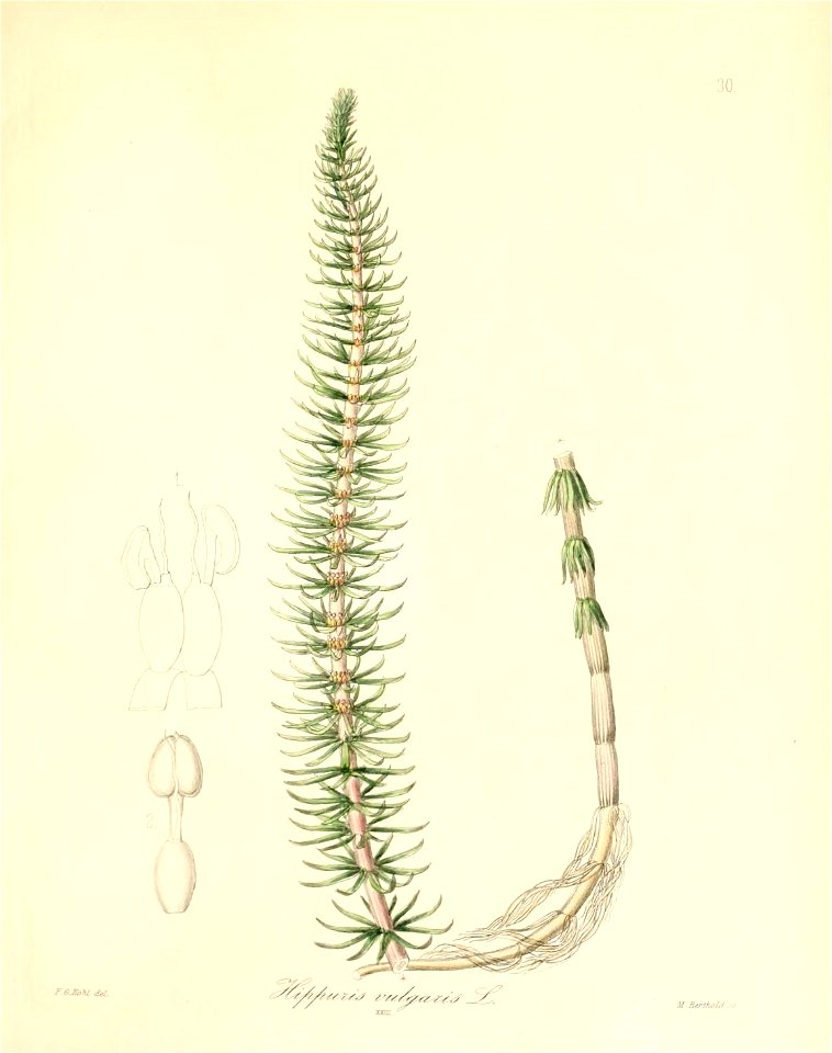 n152_w1150