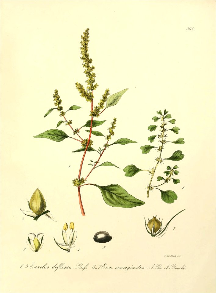 n552_w1150