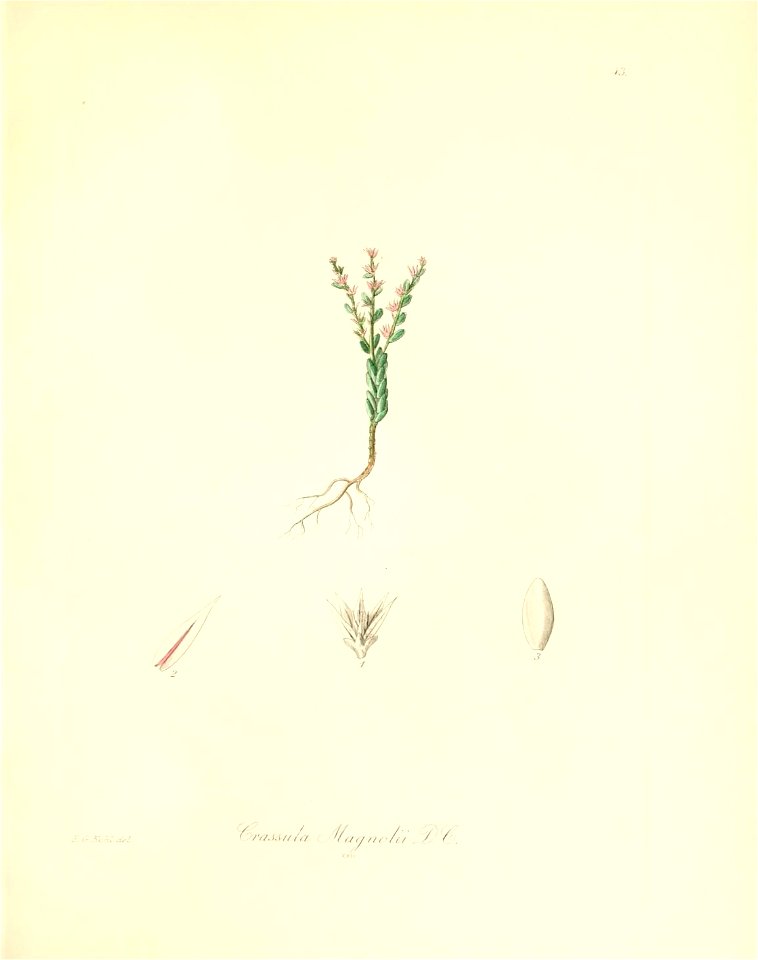 n178_w1150