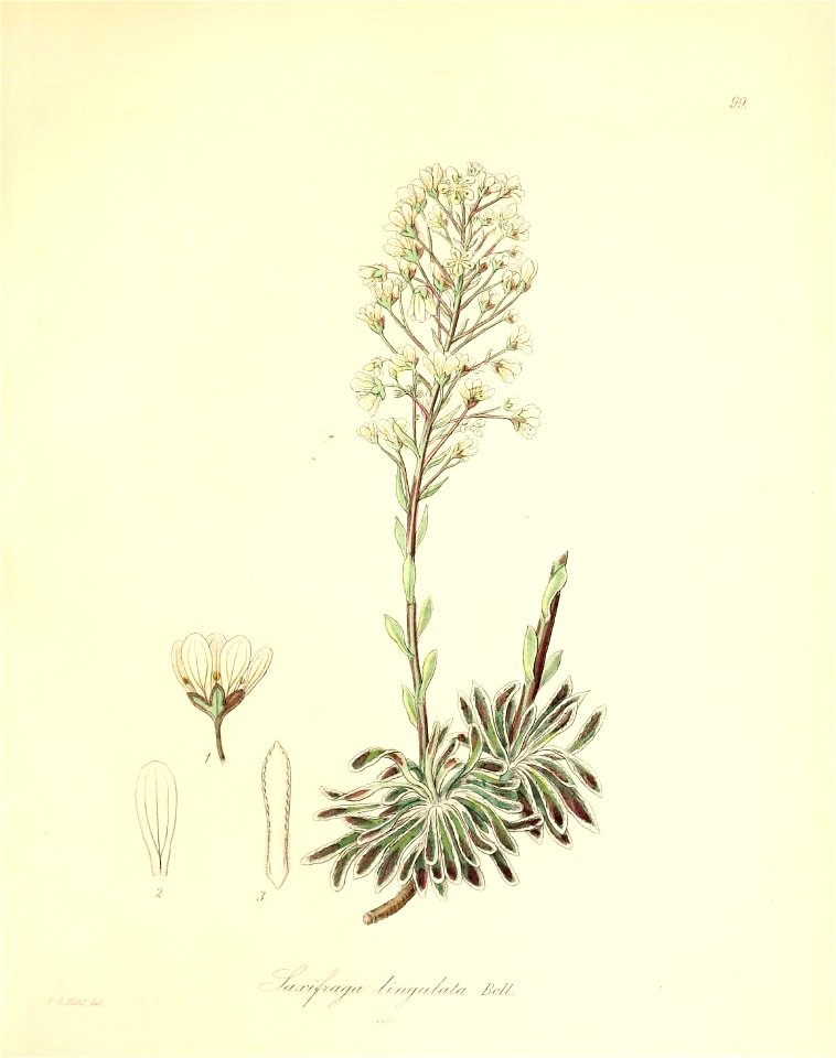 n296_w1150