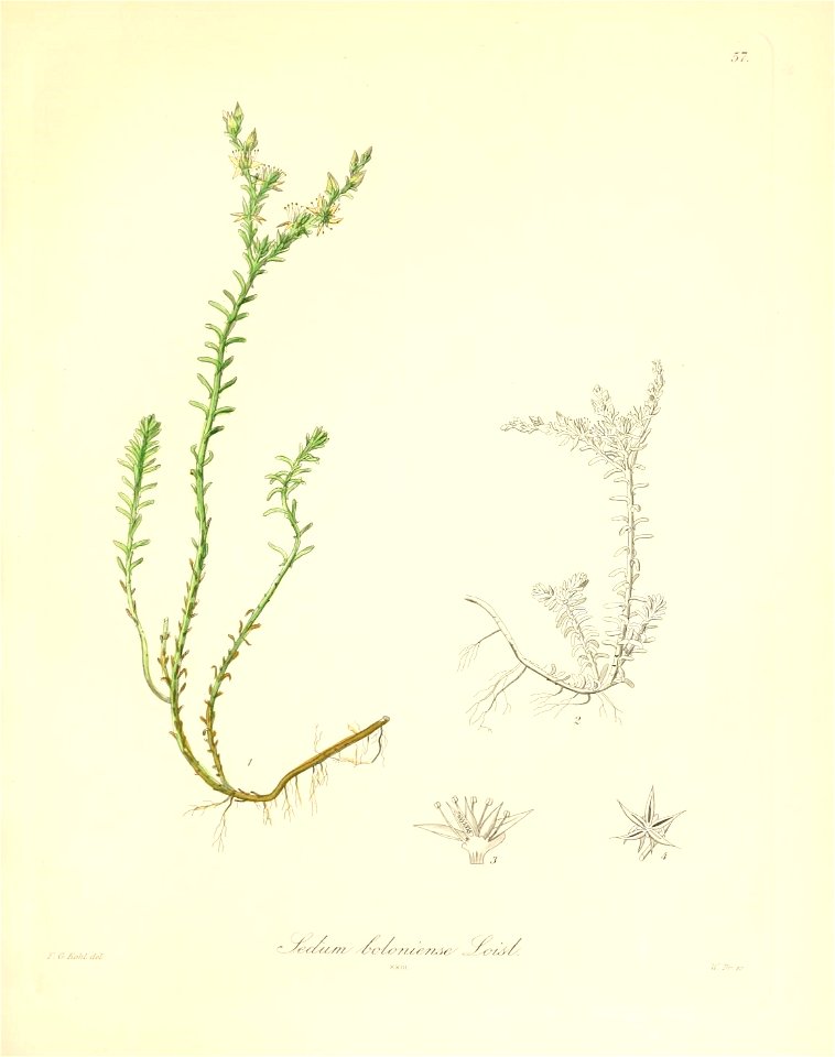 n206_w1150