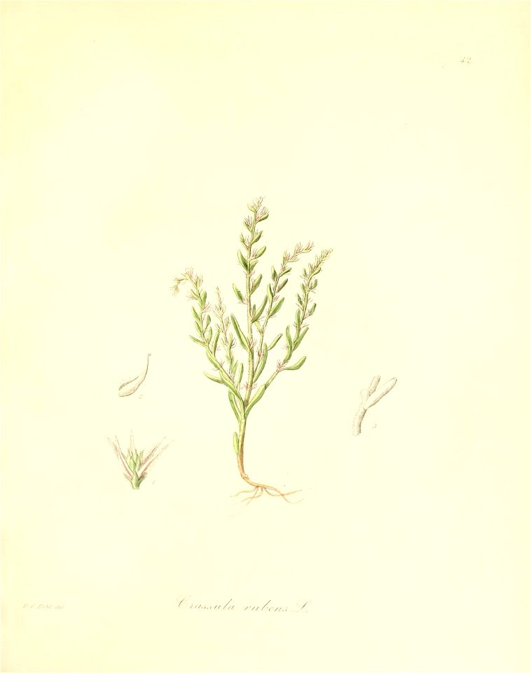 n176_w1150