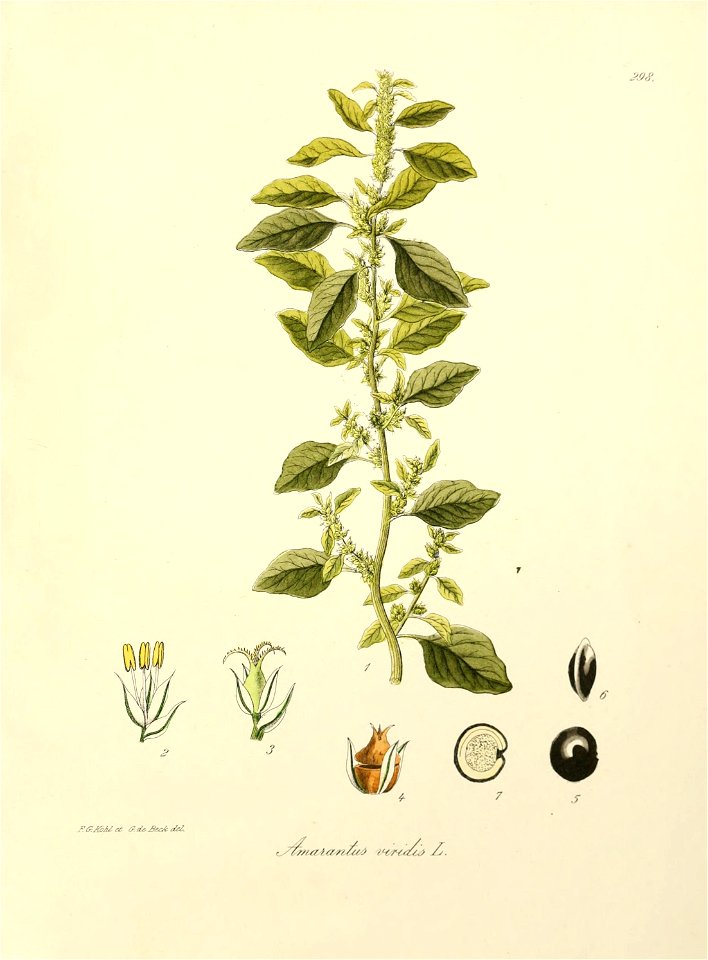 n546_w1150