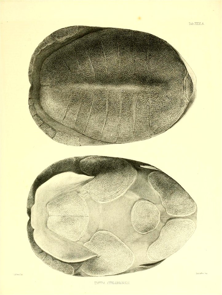 n162_w1150