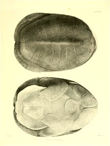 n162_w1150