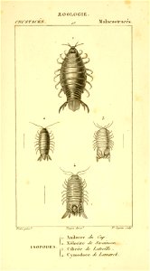 n581_w1150
