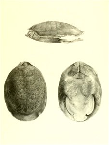 n160_w1150