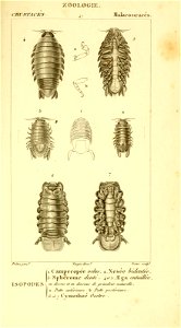 n578_w1150