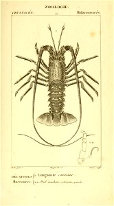 n548_w1150