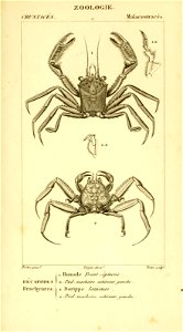 n518_w1150