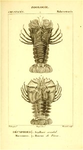 n546_w1150