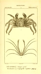 n516_w1150
