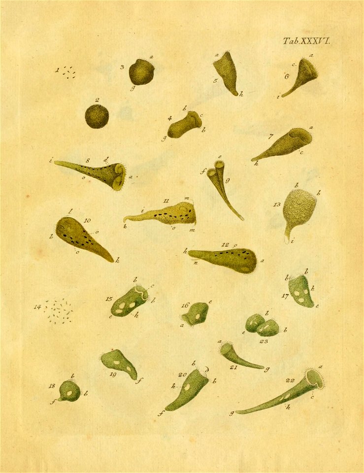 n506_w1150