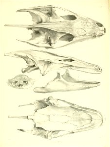 n186_w1150
