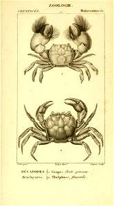 n514_w1150