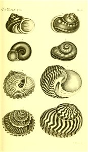 n54_w1150