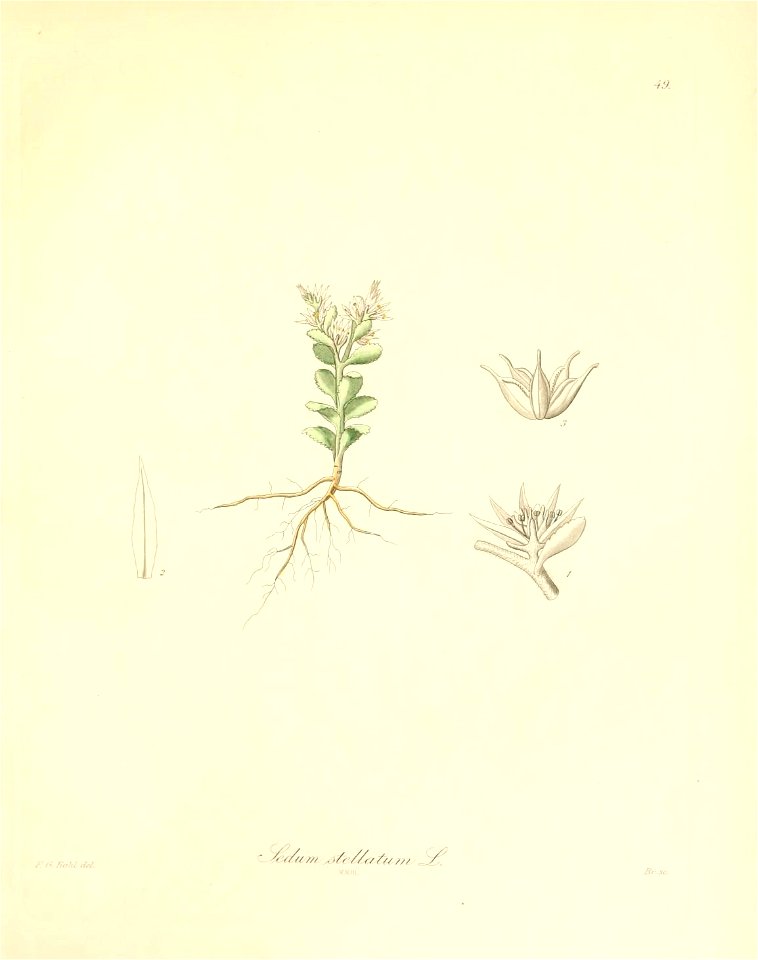 n190_w1150