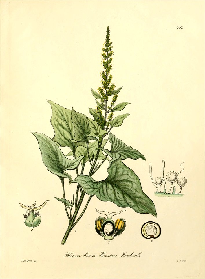 n464_w1150