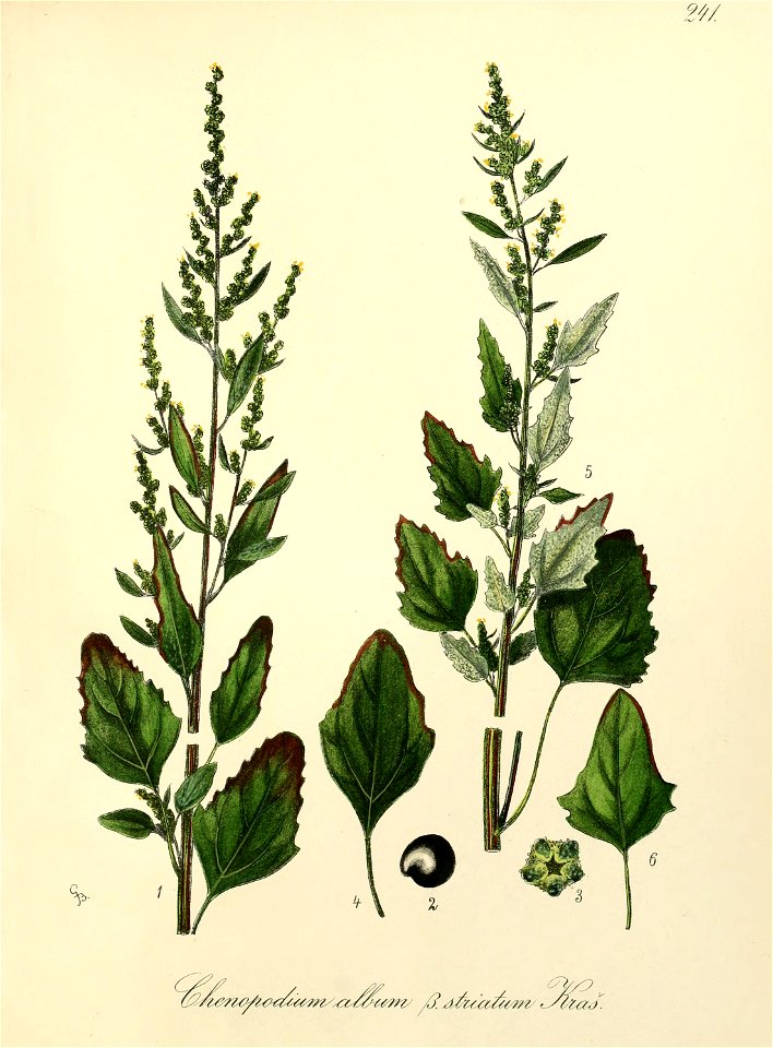 n432_w1150