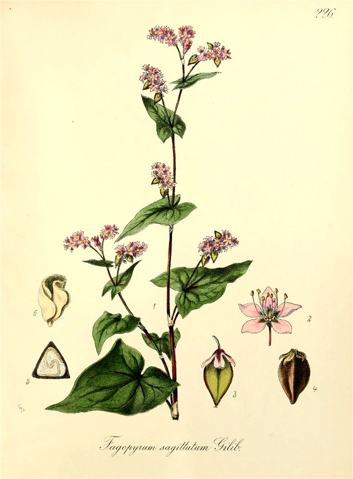n402_w1150