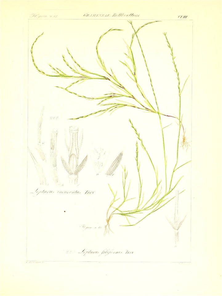 n162_w1150