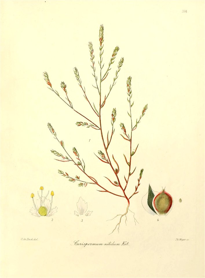 n518_w1150
