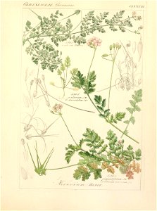 n158_w1150