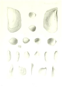 n250_w1150