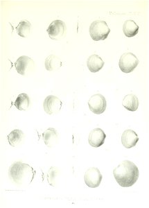 n190_w1150