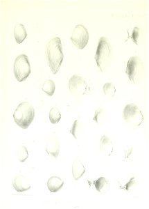 n130_w1150