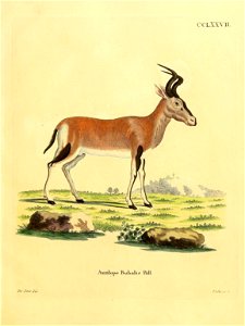 n474_w1150