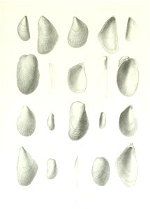 n248_w1150