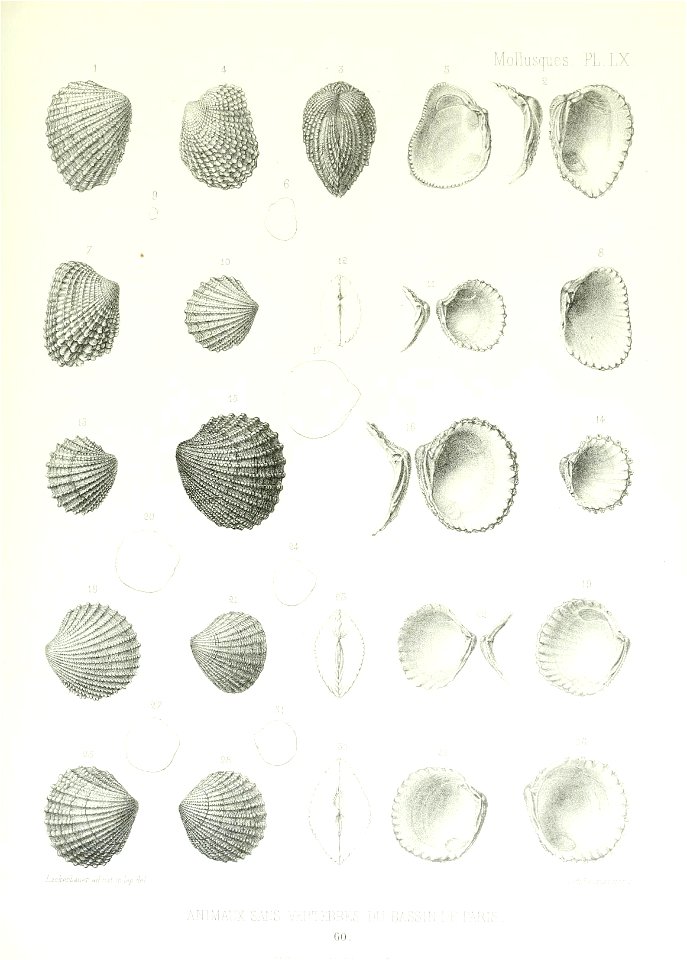 n218_w1150