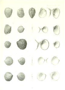 n218_w1150