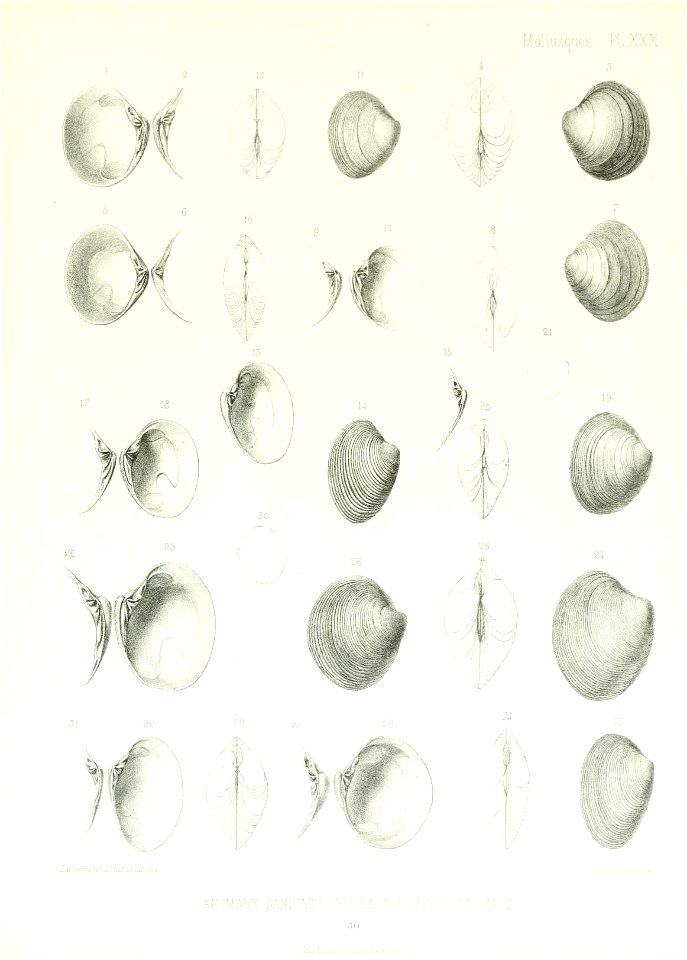 n158_w1150