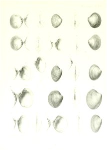 n158_w1150