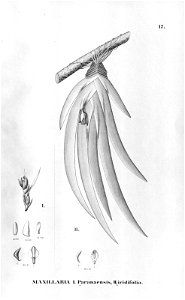 n124_w1150
