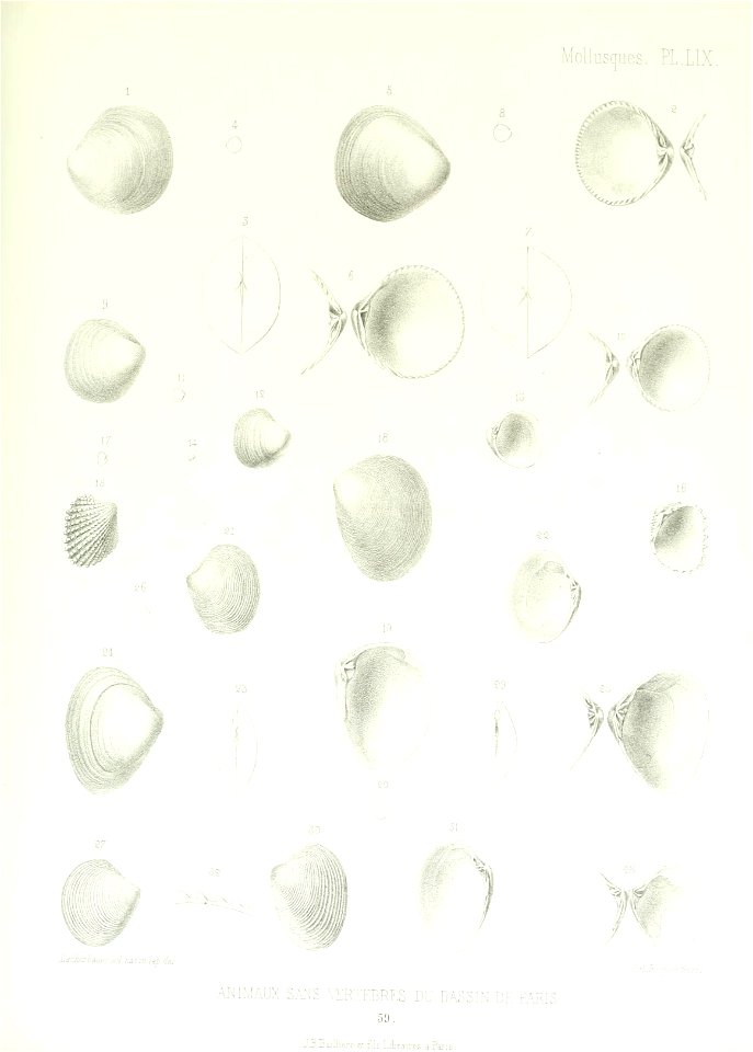 n216_w1150