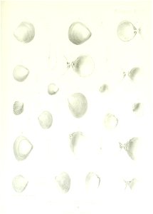 n216_w1150