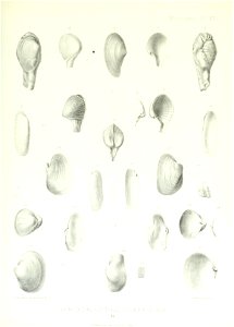 n124_w1150