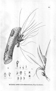 n123_w1150